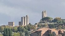 Private 8/9 hour tour to discover Chianti and San Gimignano