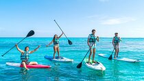 Isla Mujeres Garrafon Park Zipline Kayak Snorkel and Buffet