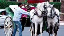 Marrakech 1 hour Horse Carriage Rides