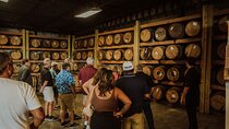 Beer, Bourbon, & BBQ Food Tour