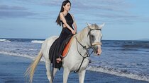 Bali Horse Riding Trot & Canter Sanur Beach include Transport
