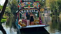 Private Tour : Xochimilco, Coyoacan with Frida Kahlo Museum option