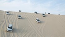 Doha: Half Day Desert Safari with Camel Ride and Inland Sea Tour