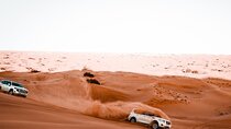 "Morning Desert Safari with Camel Farm visits & Arabic Treats"