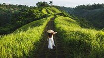 All-Inclusive Ubud Private Tour: Culture & Nature