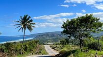 Barbados Paradise Tour with Hotel Transfers