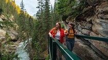Up to 6 Guests Private Tour Lake Louise、Banff and Emerald Lake