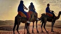Marrakech : Agafay Desert & Dinner , Sunset ,Camel Ride 
