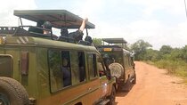 2 Days Kigali and wildlife tour in Akagera Rwanda