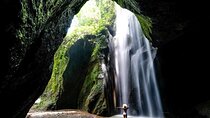 Bali Iconic Waterfalls Private Day Trip with Transport