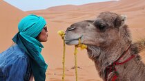 4-day tour from Marrakech to Merzouga