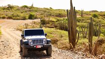Private and Customized Aruba 4X4 Jeep Adventure