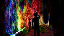 Chromo Sapiens Immerse Yourself in Color Texture and Sound