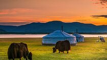 Best of Mongolia 5 days ( complimentary airport services )