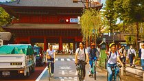 Tokyo: 3-Hour Bike/E-Bike Tour of the City's Hidden Gems