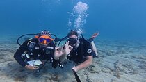 Discover Scuba Diving Experience