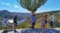 Private Douro Valley Tour Taylor Made from Porto