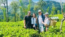 Nuwara eliya day tour from Kandy