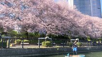 Stand up Paddle Boarding experience in Osaka 