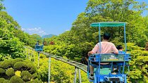 Nami Island with The Garden of Morning Calm Rail Bike from Seoul