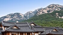 Seoul Cherry Blossom and Hanok Experience Private Car Tour 