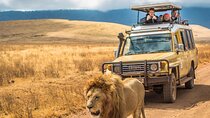 9 Day Safari Cape Town to Durban and Garden Route