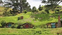 Hobbiton Movie Set and Waitomo Caves Exclusive (1-6 traveler)