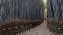 Zen Run in Arashiyama