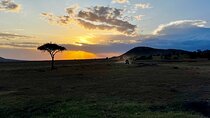 5 Day Private Masai Mara National Reserve Safari Tour