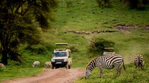 3 Days Private Budget Lodge Safari