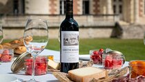 Medoc Wine Route Private Guided Day Tour with Luxury Picnic