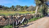 Discover Ibiza by E-Bike Santa Gertrudis de Fruitera