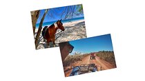 Tour Combo - WRCT Adventures Private Horseback & ATV/UTV Rides