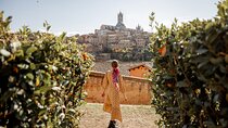 Siena and San Gimignano Tour from Rome