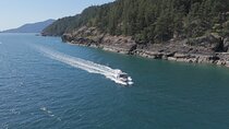 Vancouver UNESCO Biosphere Reserve Wildlife Scenic Boat Tour