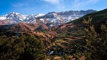 Atlas Mountains: Berber Village Hike in the Atlas Mountains