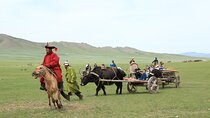 Private - Mongol Nomadic Show & Khustai National Park Day Trip