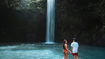 Bali Waterfalls and Monkey River Private Day Tour