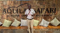 Full-Day Big 5 Safari at Aquila Game Reserve with Lunch