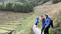 One Day Longji Terrace Field Private Tour