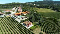 Green Wine Route and Gerês Tour from Porto 