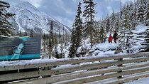 Banff, Yoho, & Kootenay National Parks Billingual Day Trip