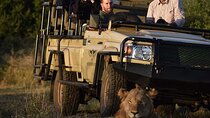 The Best of Zululand's Big 5 reserves - For the Discerning guest