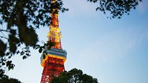 Tokyo City Tour on Private Basis