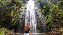 Materuni Waterfalls and Chemka HotSpring Private Tour