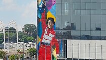 Private Ayrton Senna Urban Art Tour Experience in São Paulo