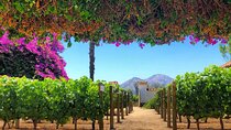 Tour Viña Santa Rita: History, Wine and Picnic Outdoors
