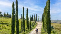 Asciano and Crete Senesi PRIVATE E-Bike Tour + Pick Up & Drop Off