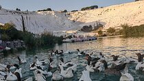Pamukkale Private Tours from Kusadasi(EPHESUS)