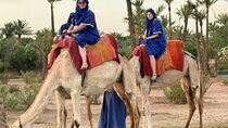 Camel Ride Through Palmeraie of Marrakech